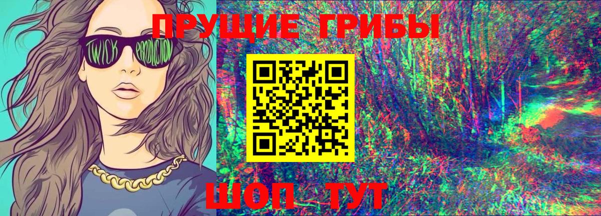 Псилоцибиновые грибы Psilocybine cubensis Славгород