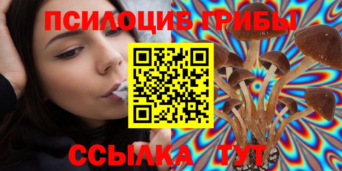 купить  сайты  Вход с VPN  Славгород  Псилоцибиновые грибы Magic Shrooms 